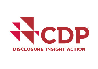 Mapping Carbon Pricing for CDP